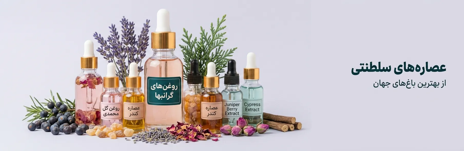 اسلاید جدید